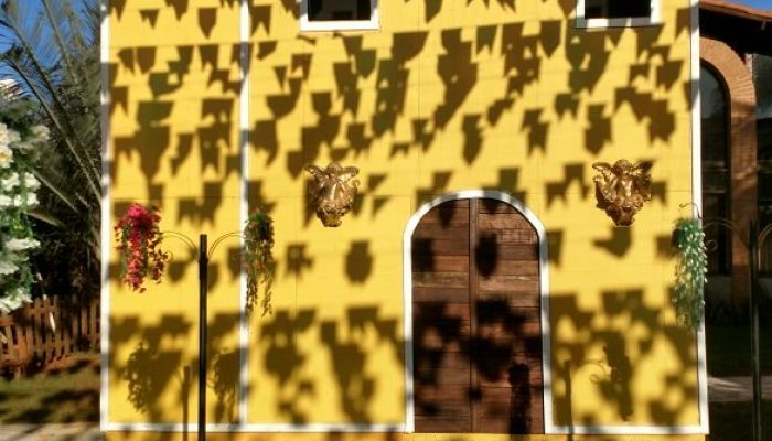 LaFiesta2017 (6)